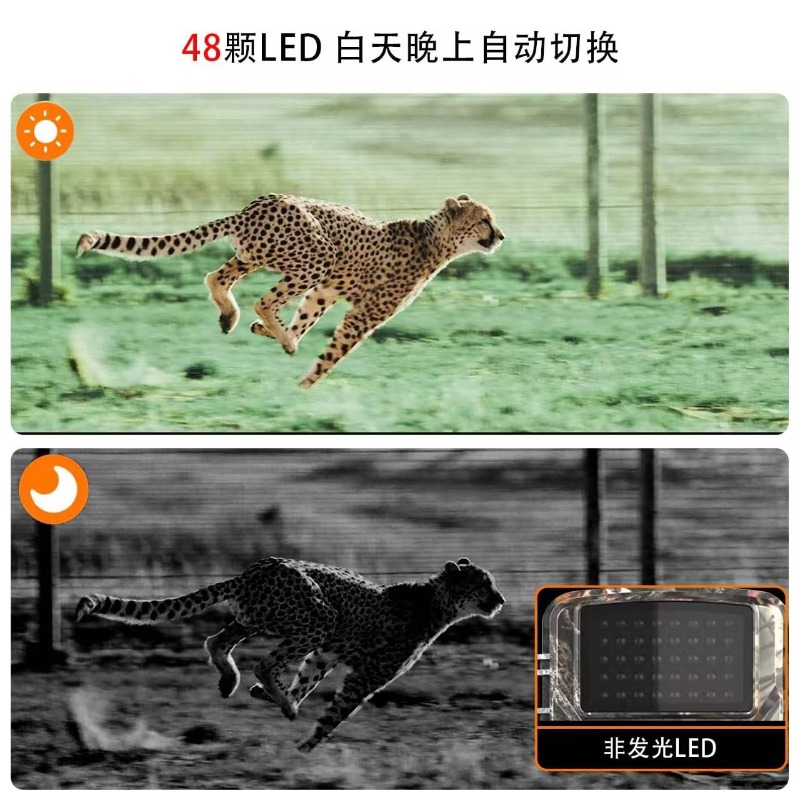 ÇOK İNDİRİMLİ DL001 Avcılık Ka - Outdoor Sport Field incelemesi ve fiyatı