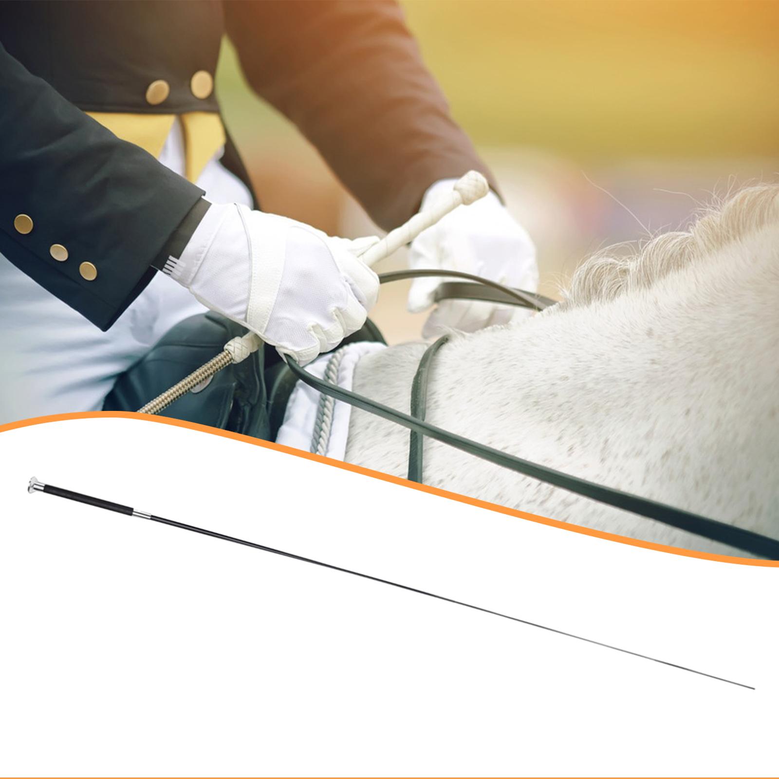 Dayanıklı Metal Naylon Ayarlan - Riding Crop Dressage incelemesi ve fiyatı